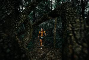 BIB: 
                            <button type="button" onclick="openModal(25676894)" class="btn btn-primary btn-sm float-right btn-popup" data-toggle="modal" data-target=".modal-high-quality">
                        <i class="fas fa-shopping-cart"></i> Add to Cart
                    </button>
                                            <button type="button" onclick="isThisMe(25676894, true)" class="btn btn-success btn-sm float-right btn-popup btn-isme hidden" data-toggle="tooltip" data-placement="bottom" title="นี่คือรูปของคุณใช่ไหม คลิกที่นี่เพื่อเอาเข้าอัลบั้ม">
                        <i class="fas fa-plus"></i> Add to album
                    </button>
                    <button type="button" onclick="isThisMe(25676894, false)" class="btn btn-warning btn-sm float-right btn-popup btn-isnotme hidden">
                        <i class="fas fa-ban"></i> Remove from album
                    </button>